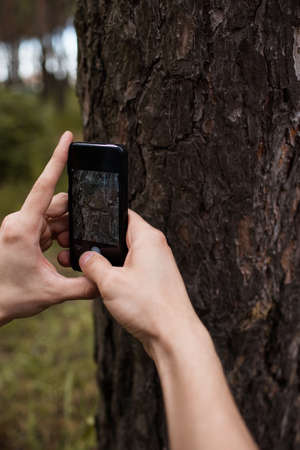 Camera texture create forest tree photo concept. Working process. Unity with the nature.の写真素材