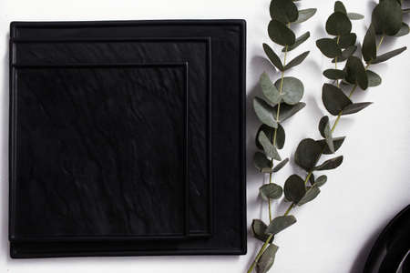 Black and white contrast. Geometric abstract background with green plant. Strict lines. Simple...