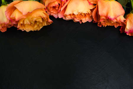 Orange and red autumn roses dark background. Symbol of deep feelings and elation. Copyspace conceptの写真素材