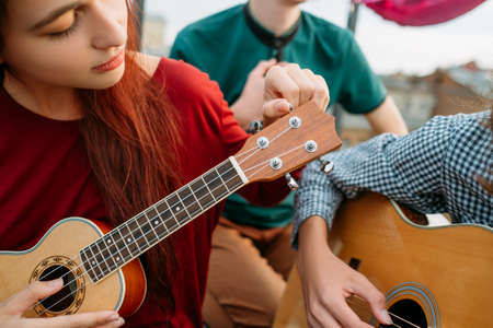 Guitar and ukulele string musical instruments. Music art style culture. Equipment tuningの写真素材