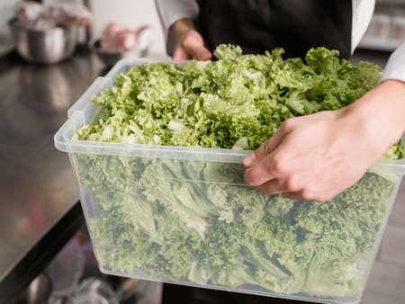 Purchase of goods for a professional restaurant. Daily delivery of fresh salad leaves