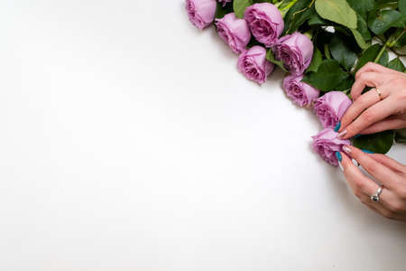 Woman arranging pink roses on white background. Flower delivery. Only fresh and firm buds will be chosen for a client. Copyspace conceptの写真素材