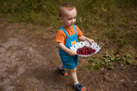 Healthy treats nature berries child concept. Advertisement of proper nutrition. Happy childhood.の写真素材