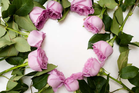 Pink roses on white background. Top view of flower wreath. Love romance beauty. Negative space conceptの写真素材