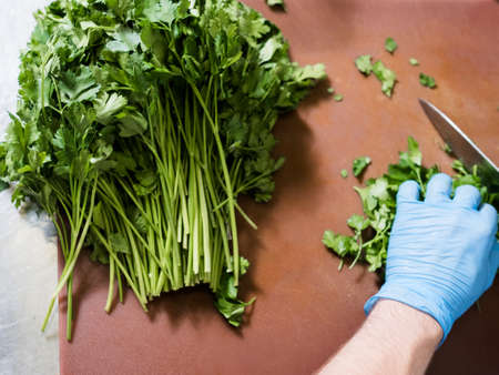 Cutting herbs for a salad. Green fresh parsley. Proper nutrition, vegan eating conceptの写真素材