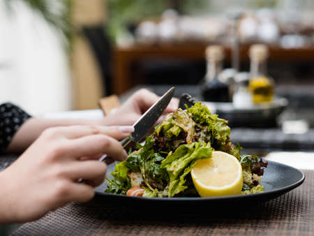 diet food meal. Fresh herb salad for weight loss. Low calorie dish for healthy and fit bodyの写真素材
