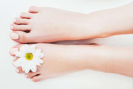 Spa therapy. Organic treatment. Pedicure. Female feet. Pale peach nail polish.の写真素材