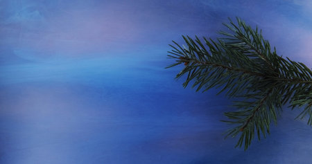 Wet pine branch. Hazy flow. Rain water droplets green tree needles in blue pink color fog refreshing...