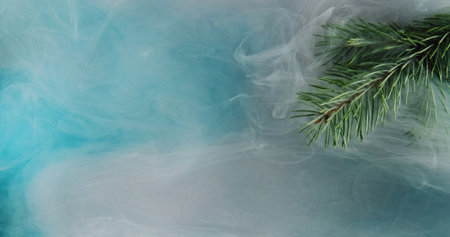 Fir sprig mist. Hazy flow. Rain water droplets green tree needles in blue white color fog refreshing...