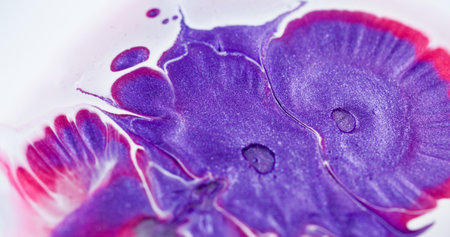 Paint spatter. Liquid splash. Purple red acrylic dye glitter drop on white abstract wet background. Art pigment water defocused blend.の写真素材