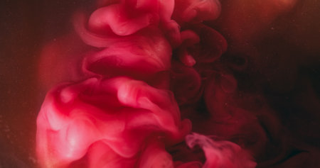 Ink background. Liquid splash. Blur pink red color water swirling smog acrylic particles waving on creative dark black abstraction.の写真素材