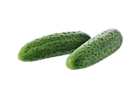 fresh cucumbers on a white background isolatedの写真素材