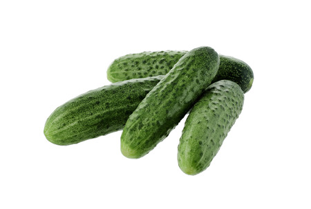 fresh cucumbers on a white background isolatedの写真素材