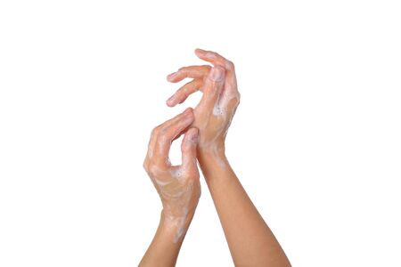 Female soapy hands. Hand wash. disinfection. Purity. isolated on white backgroundの写真素材