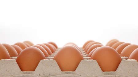 Chicken eggs in a tray made of paper on a white background. close-up.