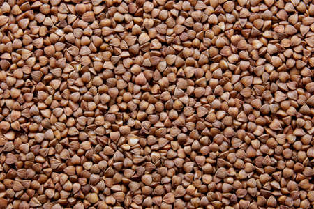 buckwheat background Close-up buckwheat background. Buckwheat woke up