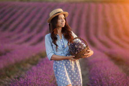 pretty brunette woman running away in lavender field. woman in dress and straw hat having fun in flowers of lavenderの写真素材