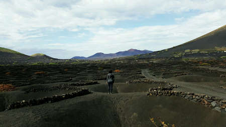 View from the vinegrapesの素材