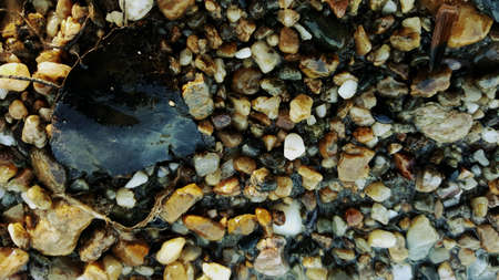 Life does not last foreverの素材