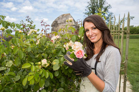 Young woman gardeningの写真素材