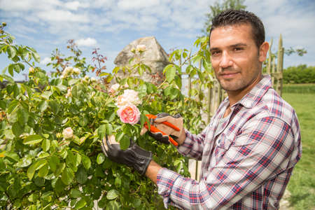 Young man gardeningの写真素材