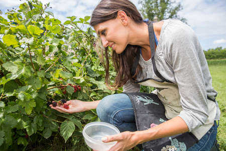 Young woman gardeningの写真素材