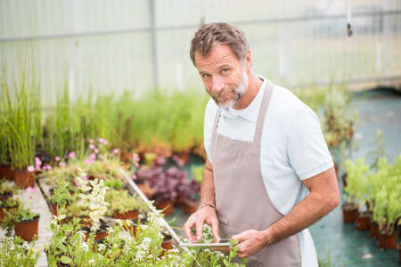 Attractive senior man working in a green house and using a tabletの写真素材