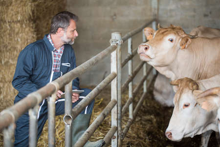 Attractive farmer in barn using digital tablet