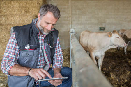 attractive veterinary using a digital tablet in a barnの写真素材