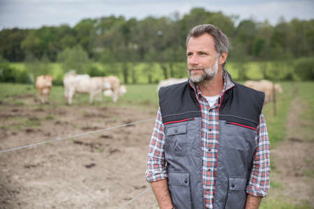 Attractive farmer in field of cattleの写真素材