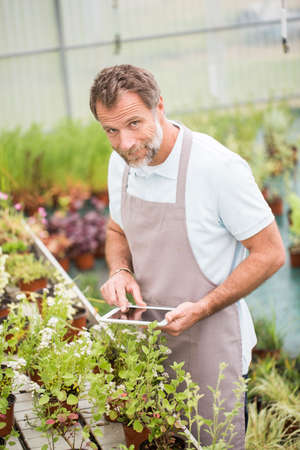 Attractive senior man working in a green house and using a tabletの写真素材