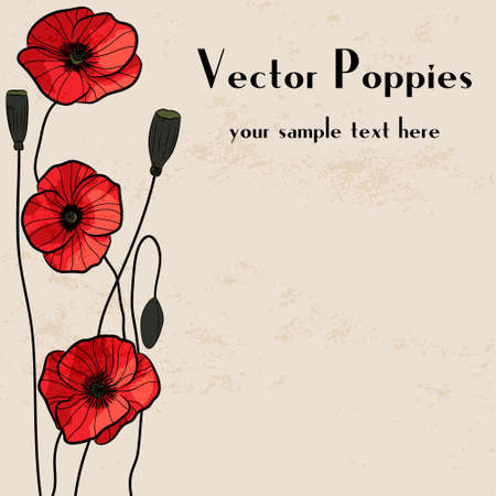 Poppies frame. Grunge background. のイラスト素材
