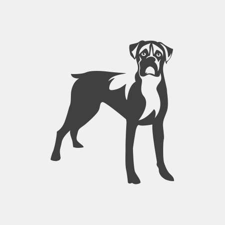 Vector image of an dog boxer on white background.のイラスト素材