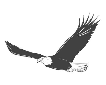Monochrome eagle on a white background. Vector   illustration.のイラスト素材
