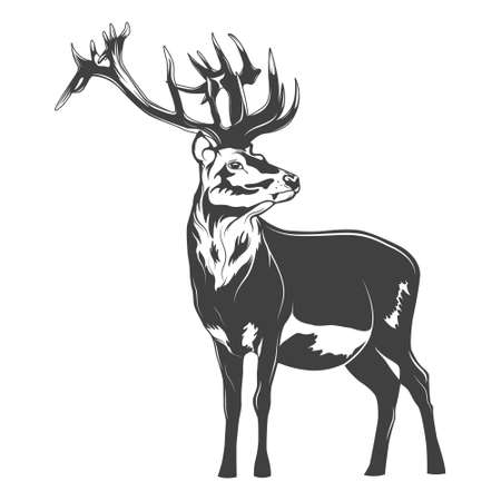 Monochrome deer on a white background. Vector   illustration.のイラスト素材