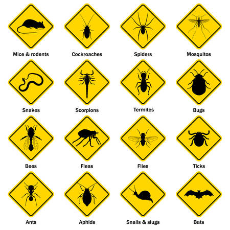 Pest and insect control icons set. Vector EPS8 illustration.のイラスト素材