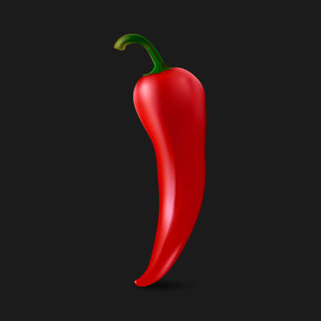 Realistic red chilli pepper isolated on white background.のイラスト素材