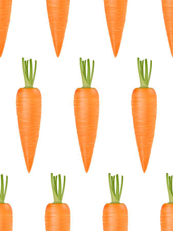 Vector seamless pattern with realistic carrots on white.