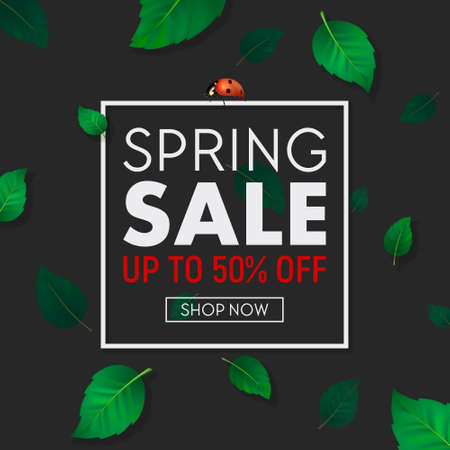 Spring sale background banner with frame, beautiful green leaves and ladybug. Design template for online store, flyer, poster, shopping, selling sign, discount, marketing, web, header etc. EPS10.のイラスト素材
