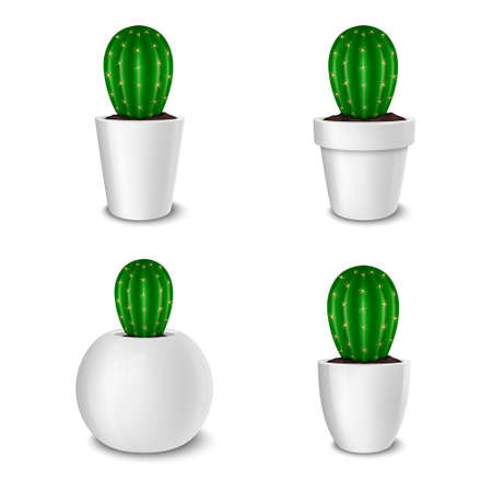 Realistic decorative cactus plant in white flower pot icon.のイラスト素材