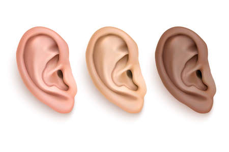 Vector realistic human ear iocn set closeup isolated on white background. Design template of body part, human organのイラスト素材