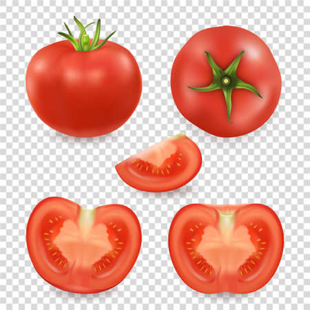 A Vector 3d realistic different tomato icon set closeup isolated on transparency grid background.のイラスト素材