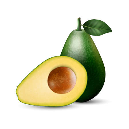 Vector Realistic 3d Black Plastic Jar, Can with Lid Closeup Isolated on White Background. Design Template of Whey Protein, Sport Powder, Vitamins, BCAA, Pills, Caps for Mockup. Front Viewのイラスト素材