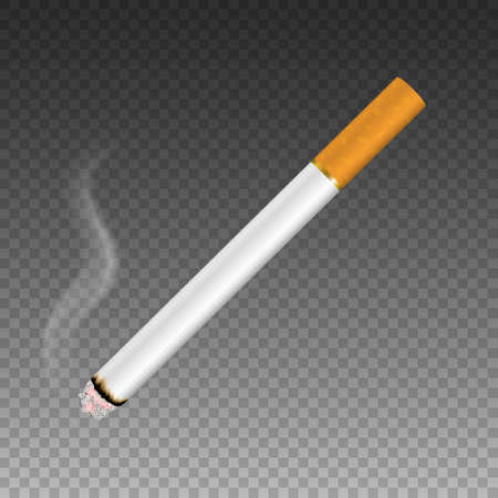 Vector 3d Realistic Clear Blank Whole Lit Cigarette with Smoke Icon Closeup Isolated on Transparent Background. Design Template. Smoke Problem Concept, Tobacco, Cigarette Mockupのイラスト素材