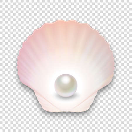 Vector 3d Realistic Natural Open Half Shell with Pearl Close up Isolated on Transparent Background. Top Viewのイラスト素材