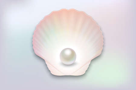 Vector 3d Realistic Natural Open Half Shell with Pearl Close up on Pearl Color Background. Top Viewのイラスト素材