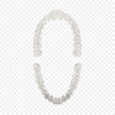 Vector 3d Realistic Teeth, Upper, Lower Adult Jaw, Top View. Anatomy Concept. Orthodontist Human Teeth Scheme Isolated. Medical Oral Health. Design Template of Prosthetics, Periodontal Disease Gumsのイラスト素材