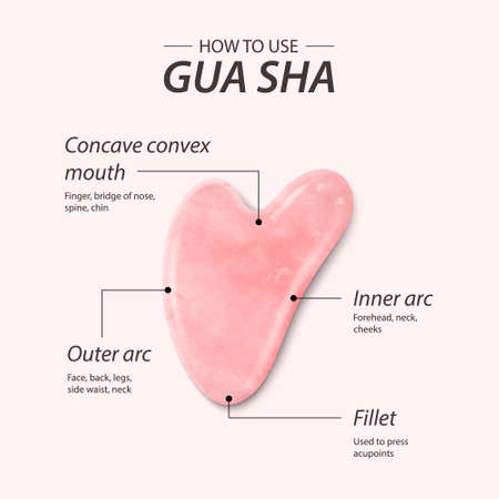 Vector 3d Realistic Gua Sha Jade Scraping Massage Tool. Benefits, Parts, Instruction, Infographics. Natural Pink Rose Quartz Stone Scraper. Chinese Traditional Facial Lifting for Woman. Top View.のイラスト素材