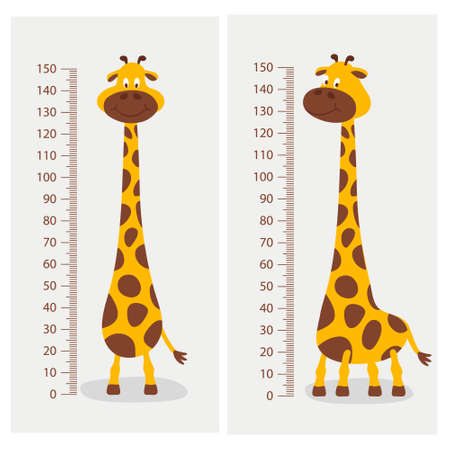 Vector Cartoon Cute Giraffe with Ruler, Growth Meter. Baby Set. Full Length Giraffe, Design Template. Child, Kid Concept. Tall Funny Hand Drawn Giraffe. Children s Illustrationのイラスト素材