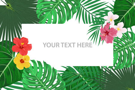 Vector Banner, Card with Tropic Leaves and Flowers. Tropical Background. Flat Vector Illustration. Exotic, Summer, Tropic Concept. Design for Invitation, Announcement, Poster, Advertisementのイラスト素材